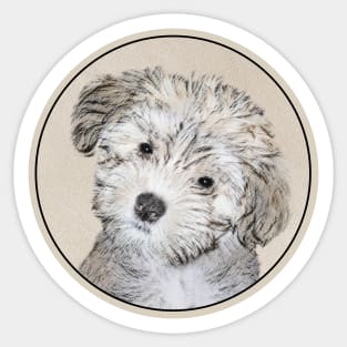 Havanese Puppy Sticker